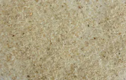 Psyllium Husk
