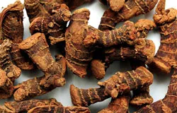 Indian Galangal Root