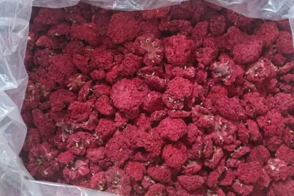 قیمت عمده گلنار فارسی خرید از کشاورز