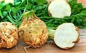خرید کرفس وحشی از کشاورزان و دعوت برای همکاری