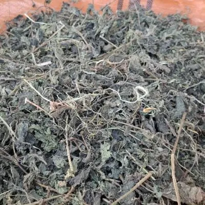 خرید گزنه خشک شده با کیفیت بدون واسطه