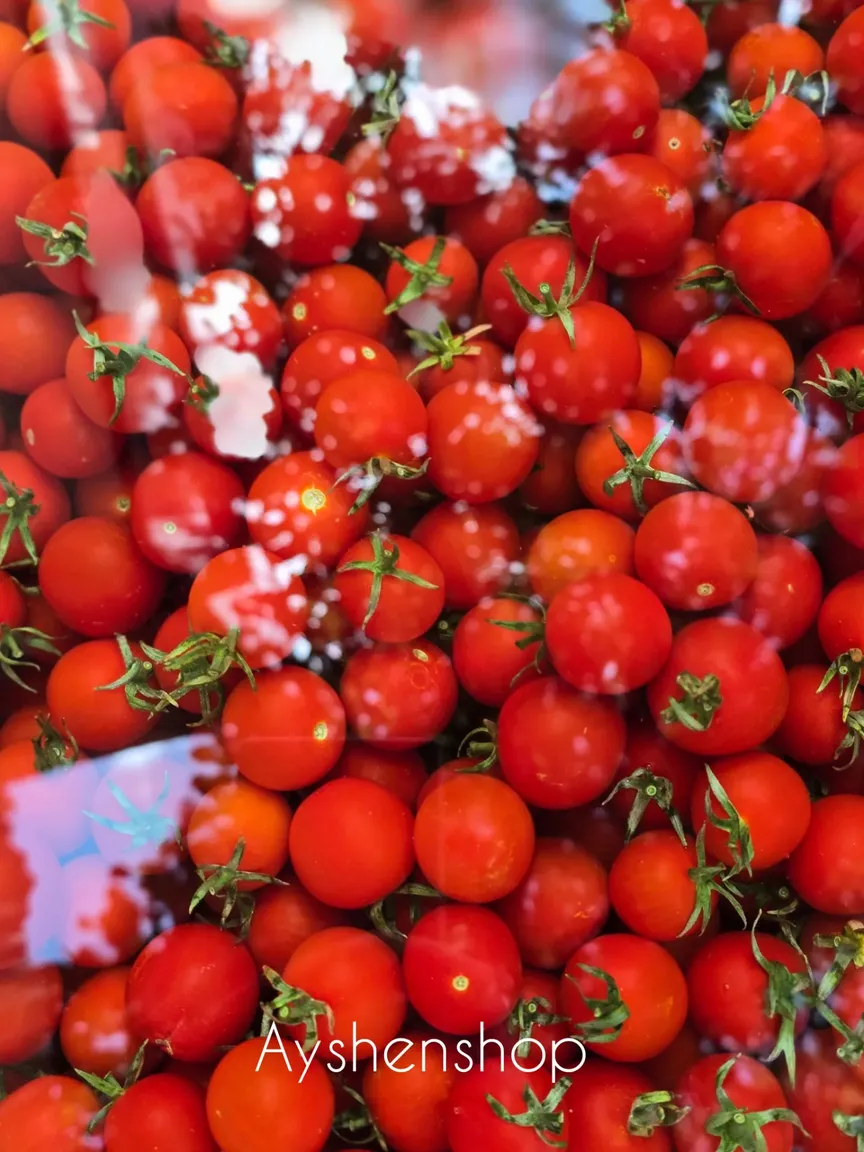 قیمت عمده گوجه خشک گیلاسی آفتابی/سنتی تمیز و یکنواخت