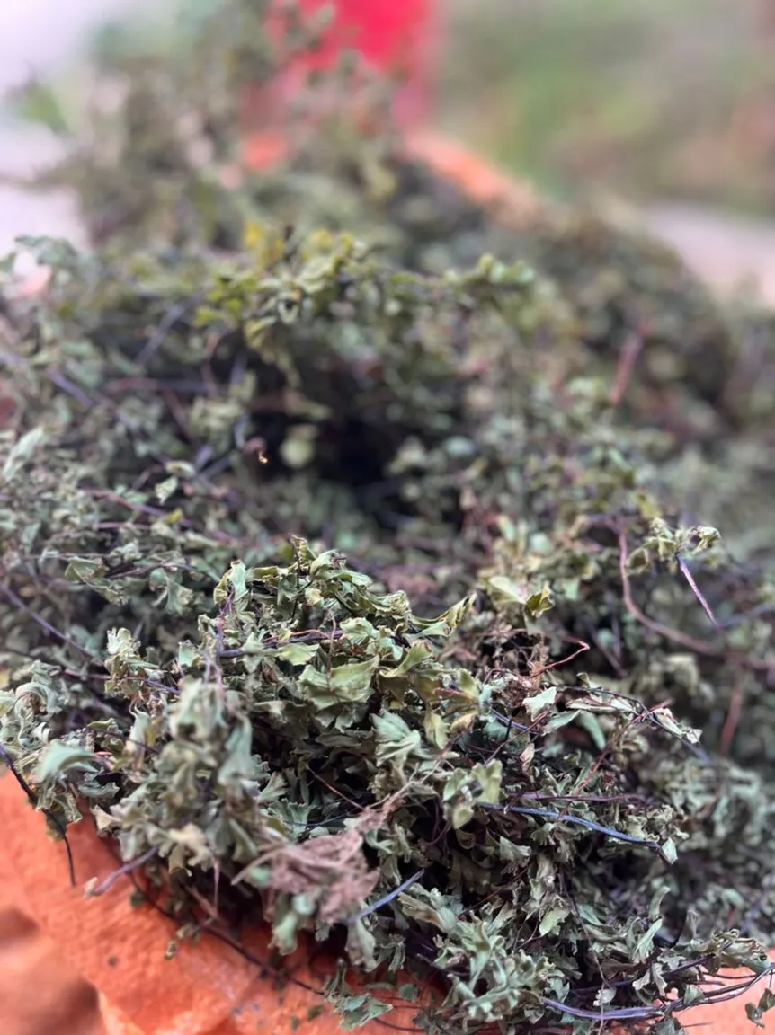 خرید پرسیاوشان عمده + کیلویی