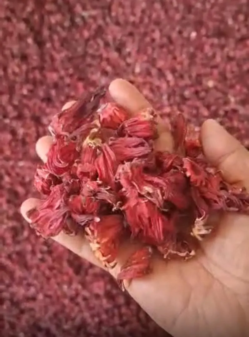 قیمت چای ترش عمده + کیلویی