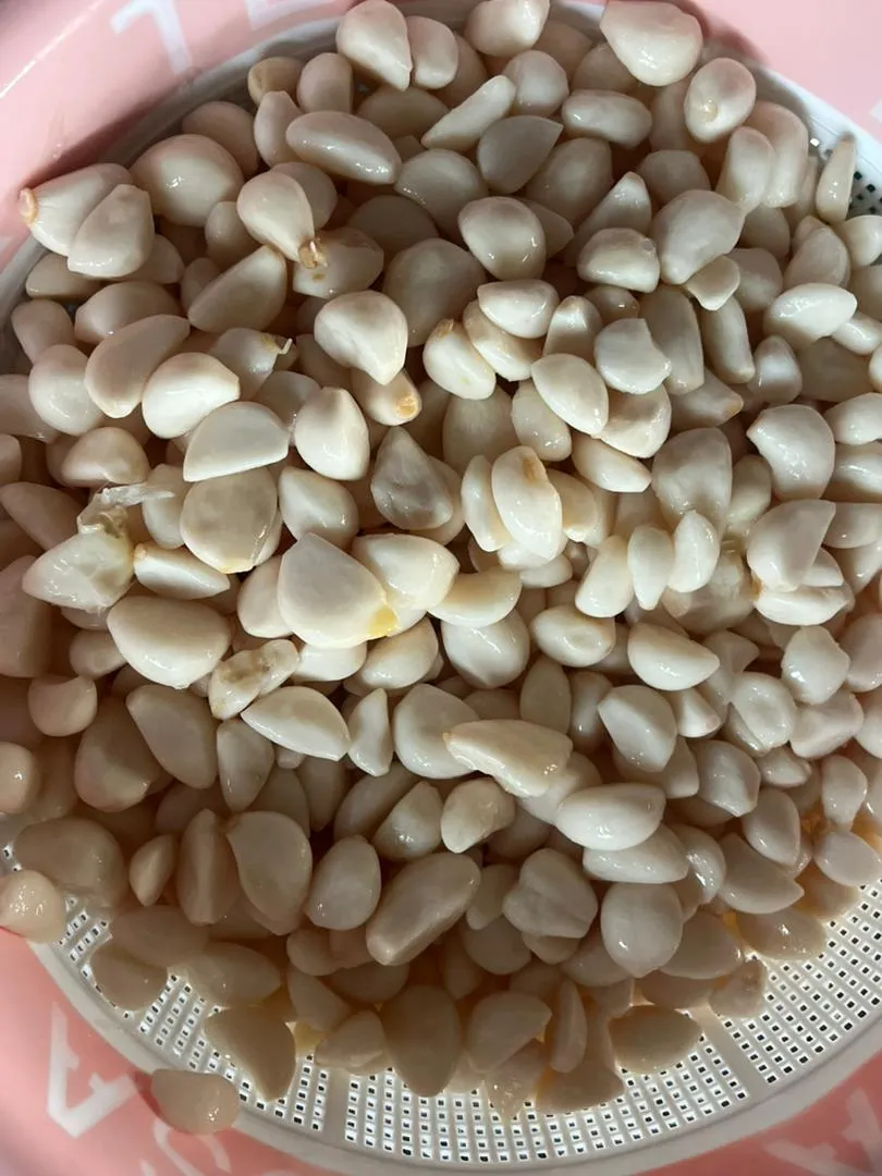 قیمت حبه سیر مرواریدی بلنچ عمده + کیلویی