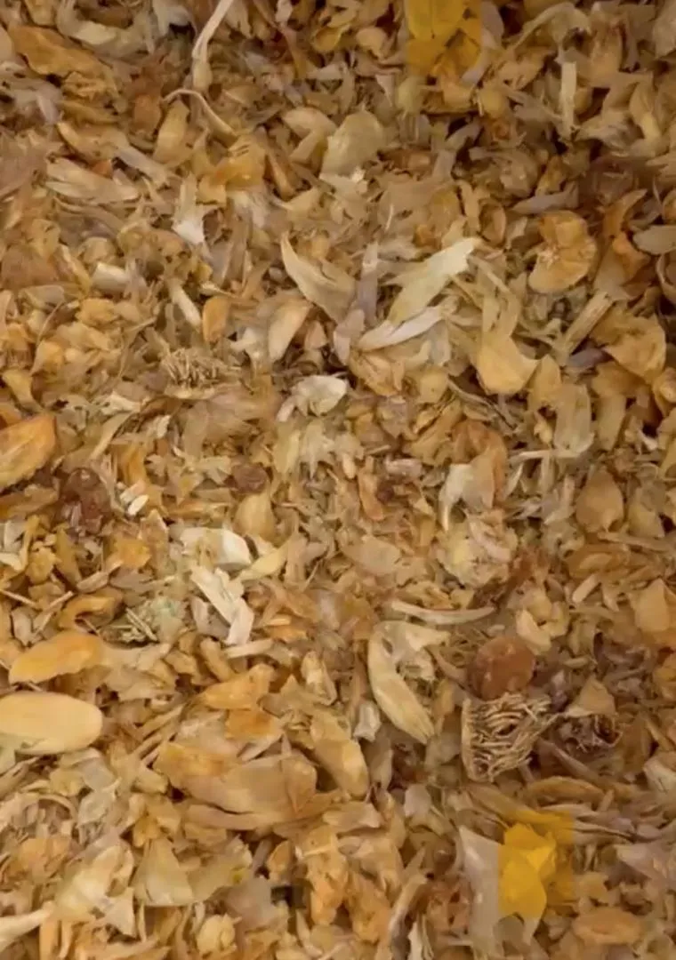 قیمت سیر اسلایس با پوست عمده + کیلویی