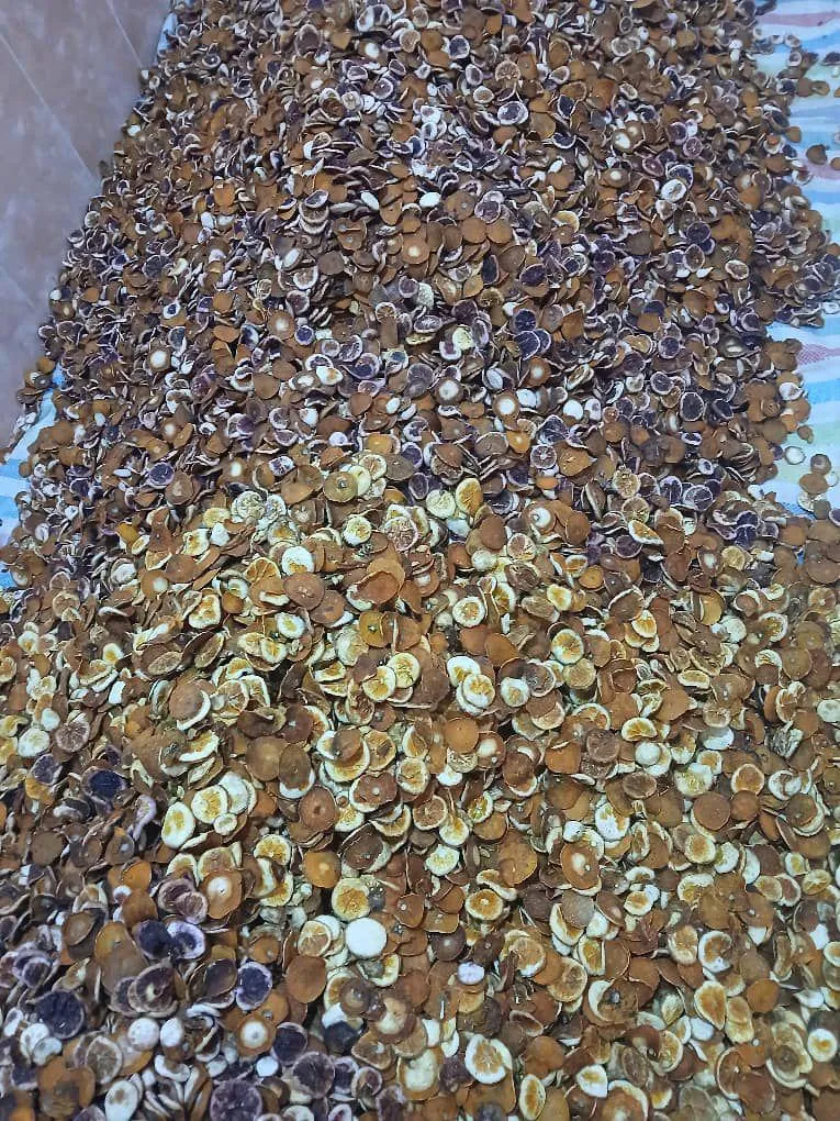 قیمت پوست پرتقال عمده + کیلویی