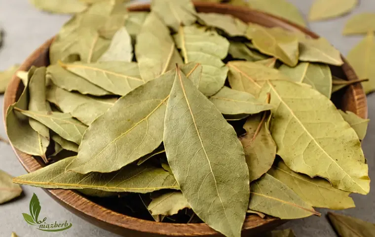 قیمت برگ بو خشک شده عمده + کیلویی