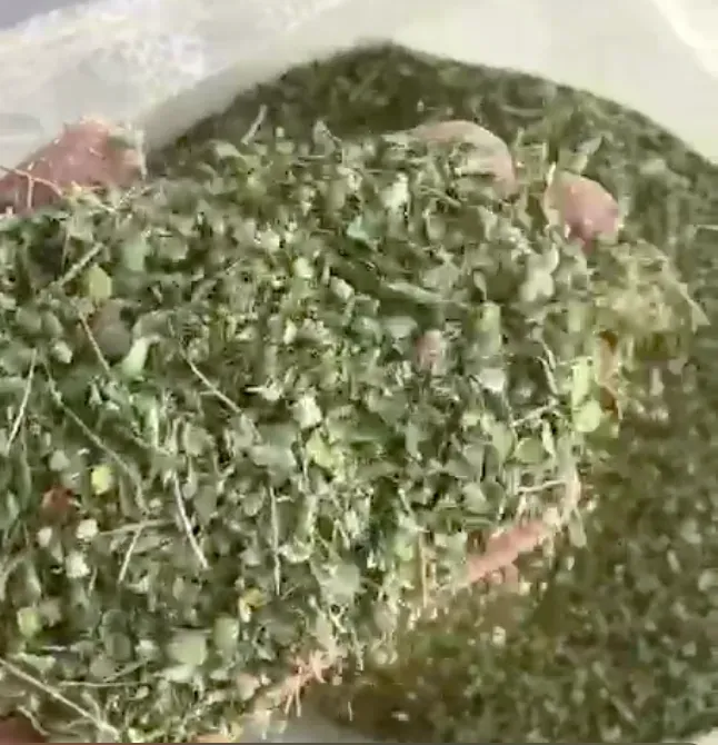 قیمت آویشن کوهی خشک عمده + کیلویی