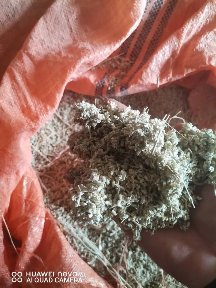 قیمت بومادران سفید گل عمده + کیلویی