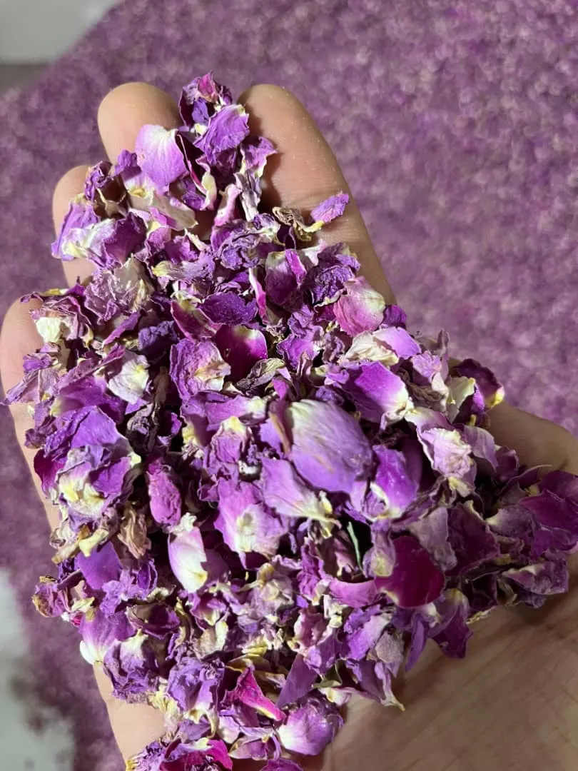 قیمت پر گل محمدی  عمده + کیلویی